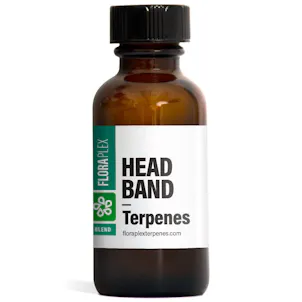 Photo of Headband Terpenes
